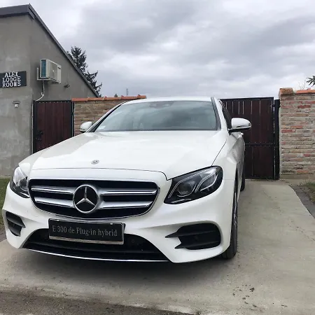 Apartment Alex Zrenjanin